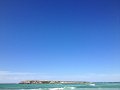 Lancelin Wedge Island (21)